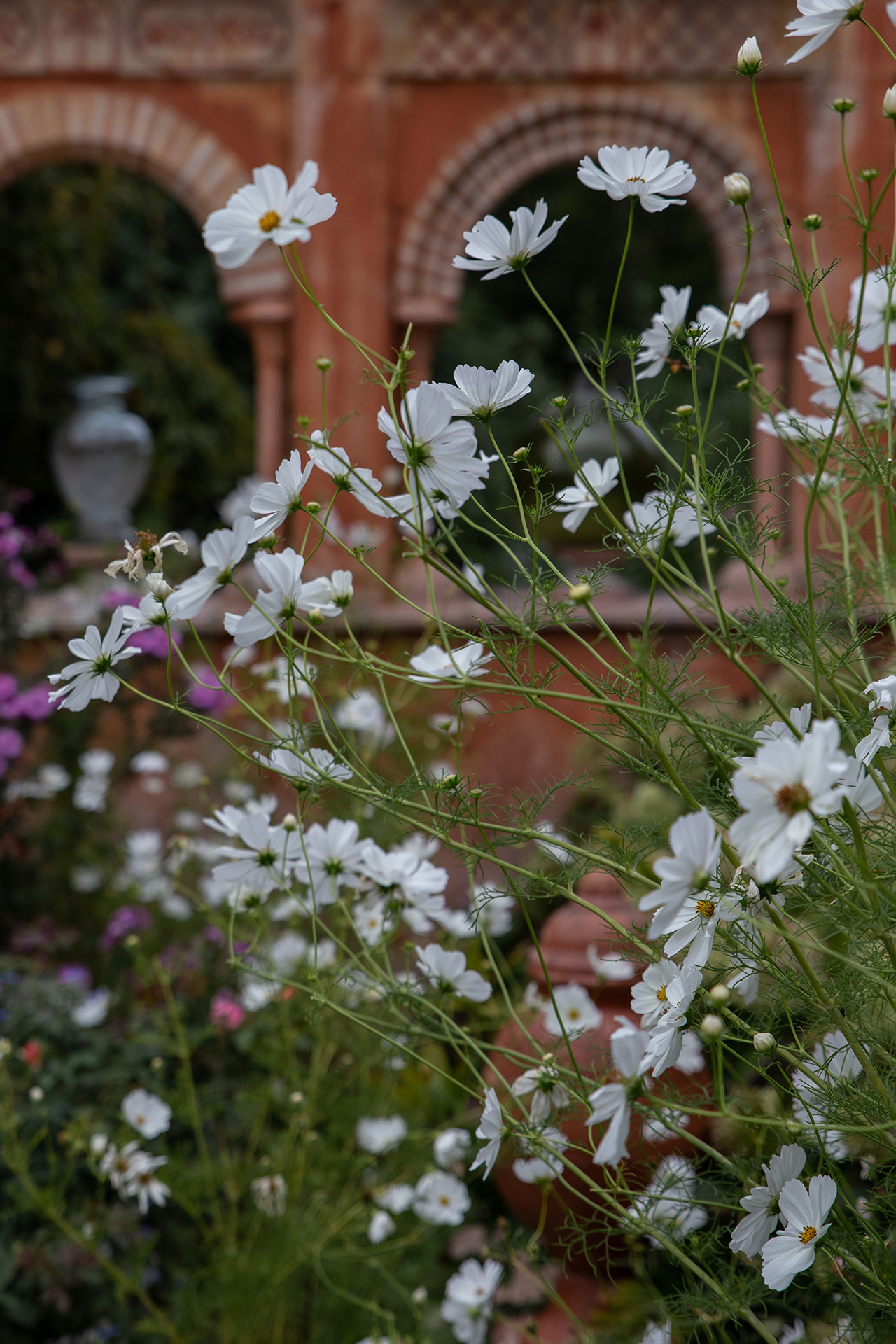 Jardins Secrets Paperboat