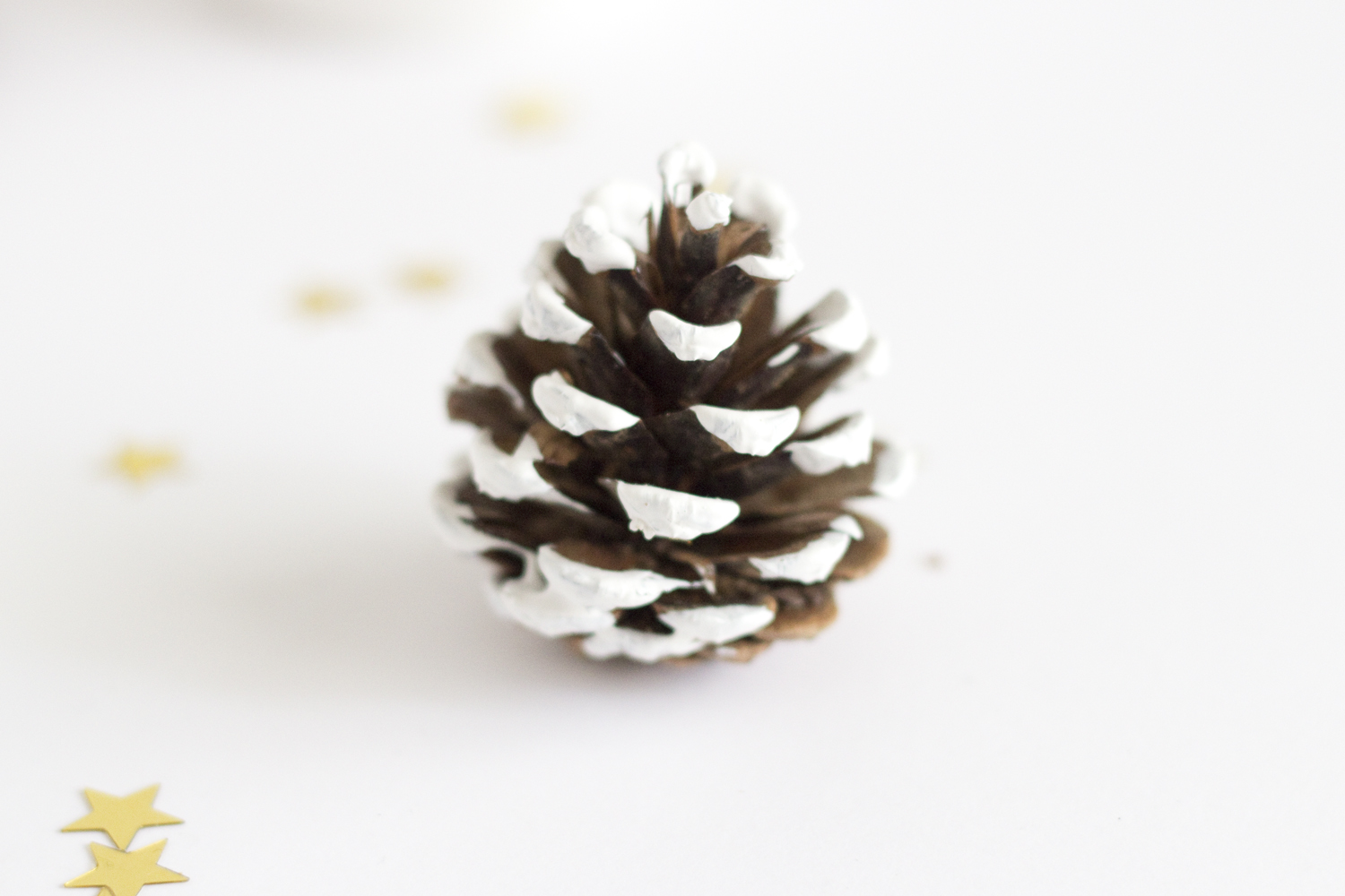 DIY pommes de pin - décorations de Noël - www.paperboat.fr