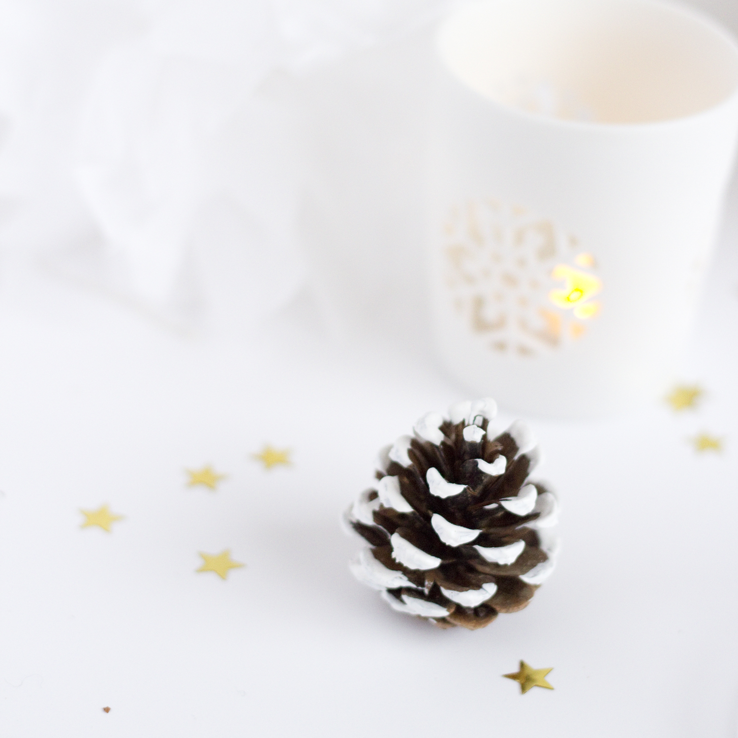 DIY pommes de pin - décorations de Noël - www.paperboat.fr