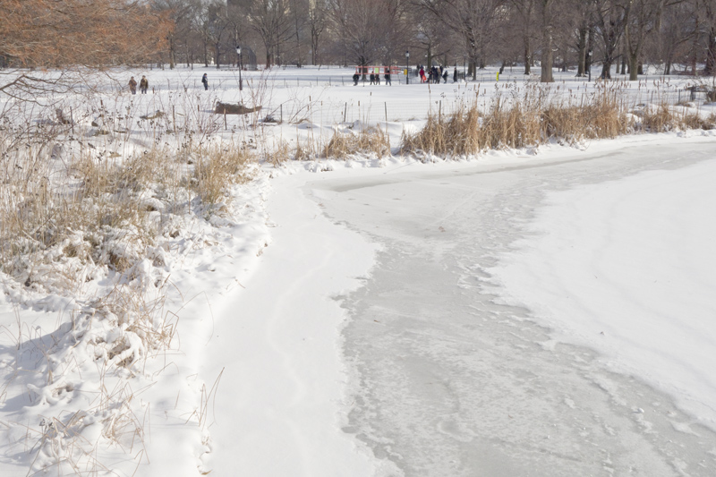 Snow in New York, Paperboat.fr