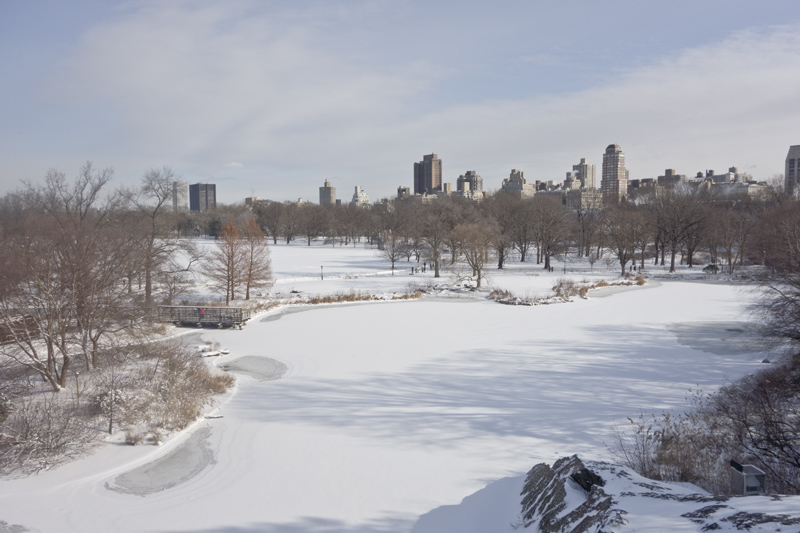 Snow in New York, Paperboat.fr
