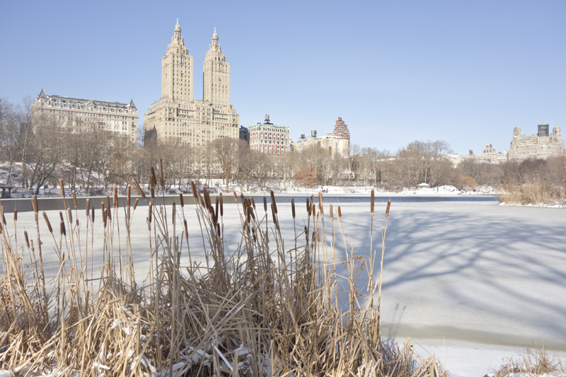 Snow in New York, Paperboat.fr