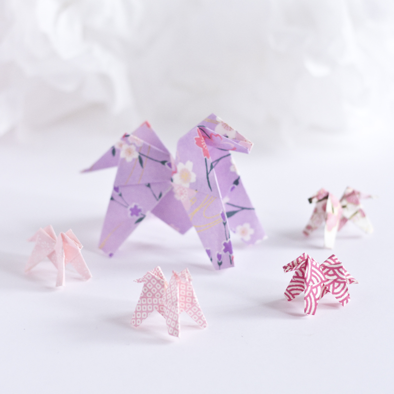Perle de Jument - paperboat.fr