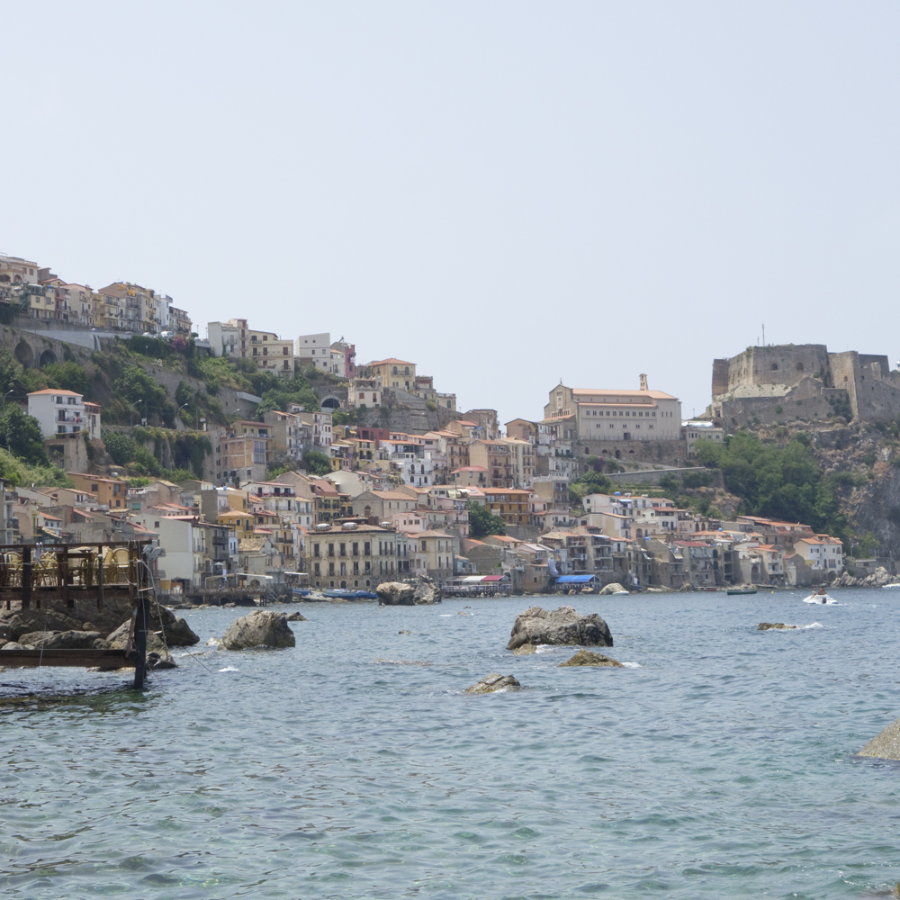 Scilla - www.paperboat.fr