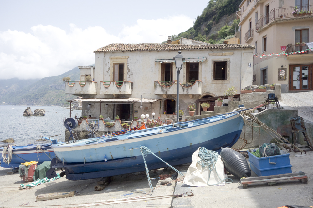 Scilla - www.paperboat.fr