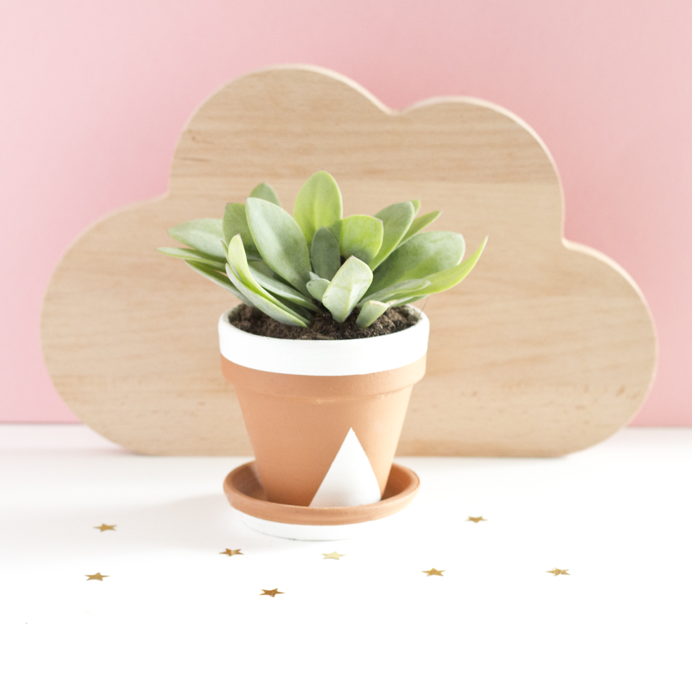 DIY pots succulente pastel - www.paperboat.fr