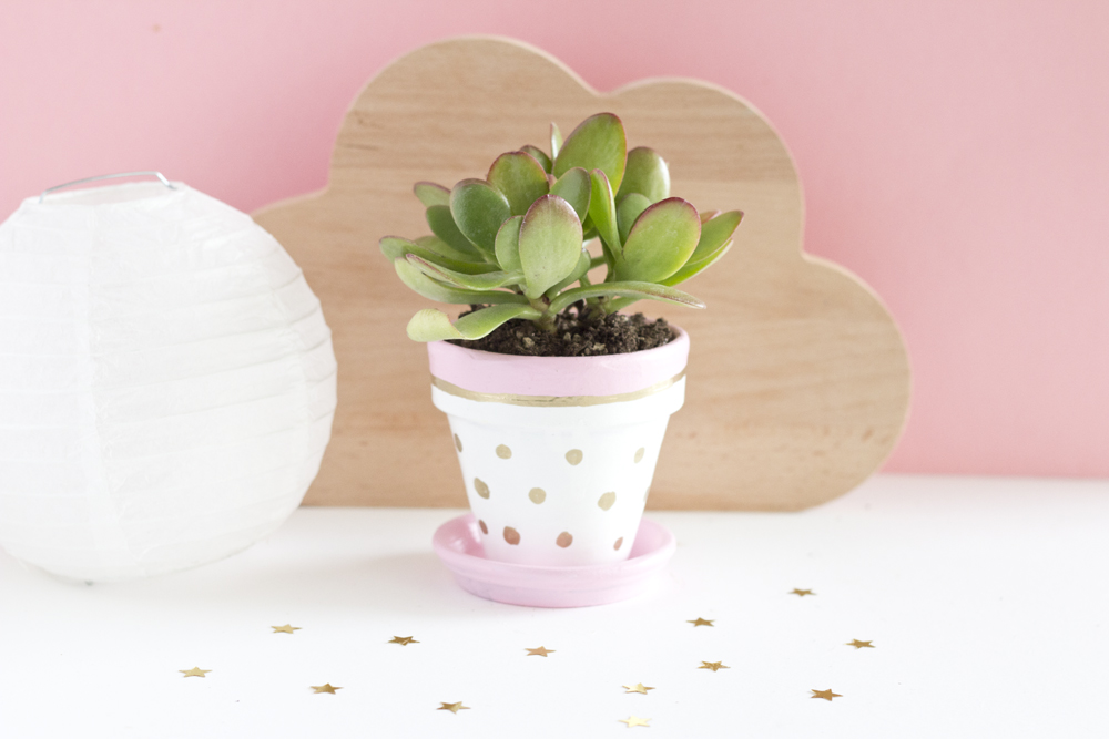 DIY pots succulente pastel - www.paperboat.fr