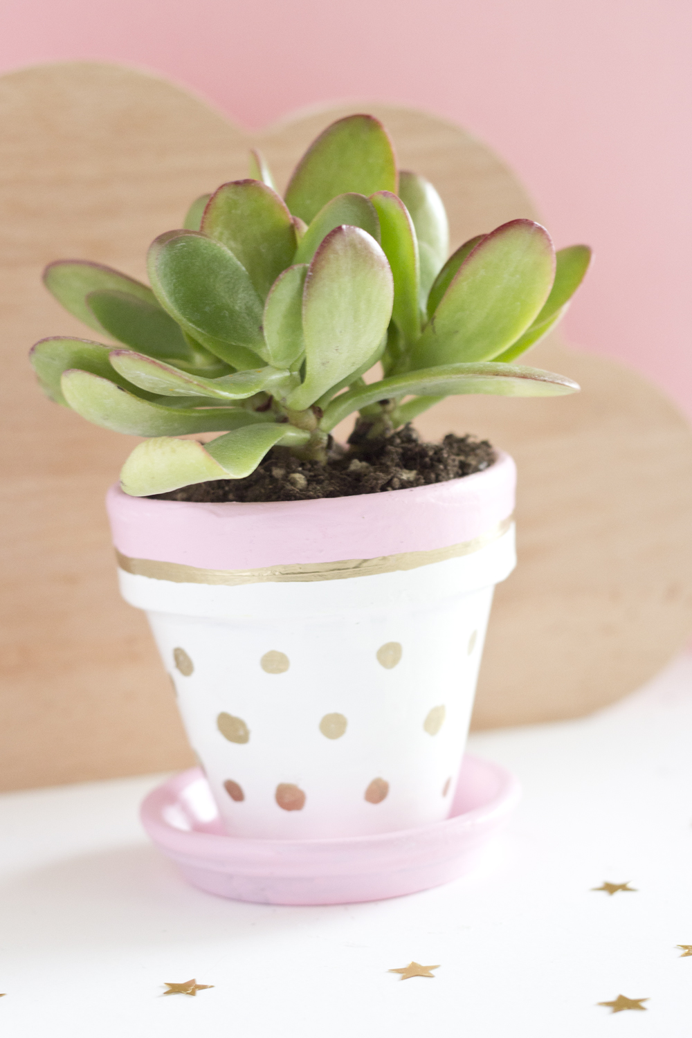 DIY pots succulente pastel - www.paperboat.fr