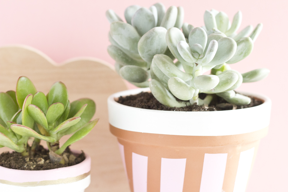DIY pots succulente pastel - www.paperboat.fr