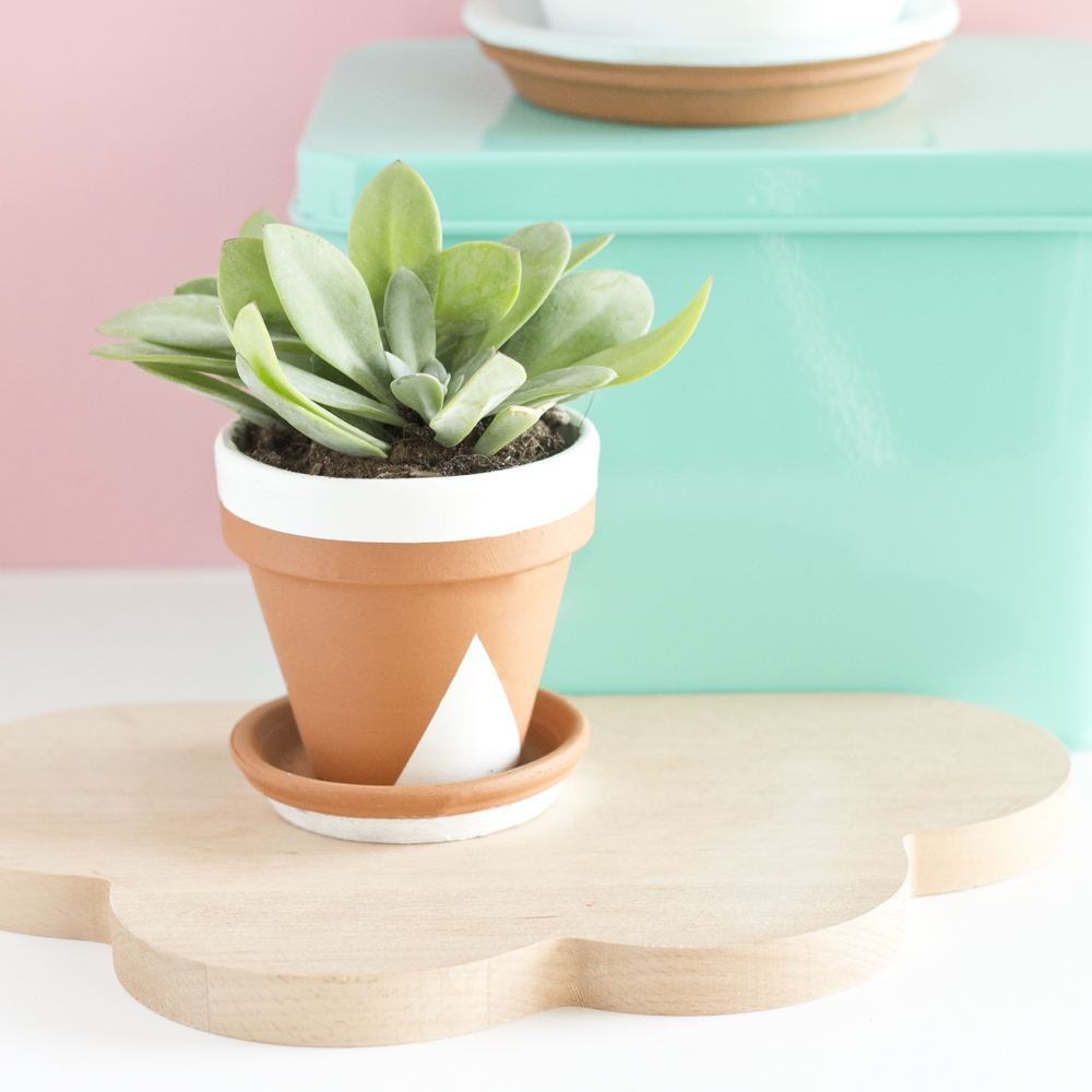 DIY pots succulente pastel - www.paperboat.fr