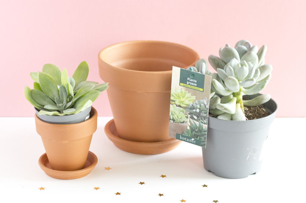 DIY pots succulente pastel - www.paperboat.fr