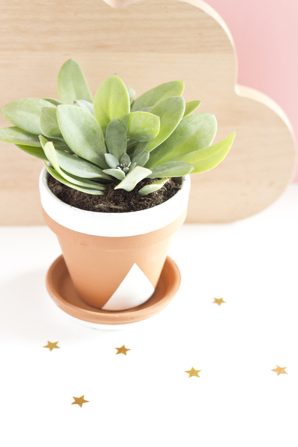 DIY pots succulente pastel - www.paperboat.fr