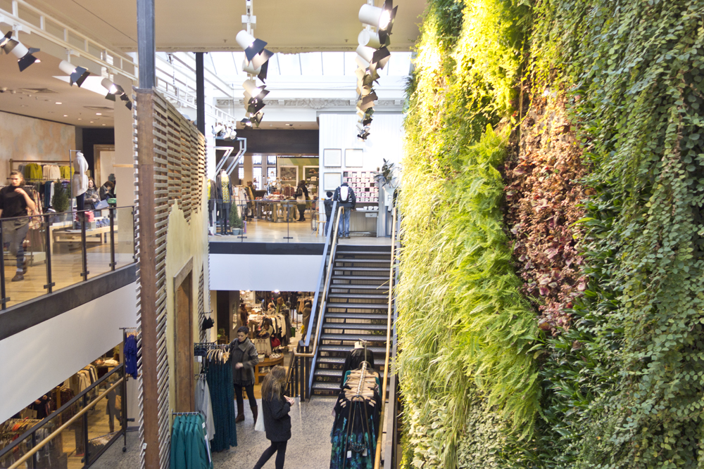anthropologie03