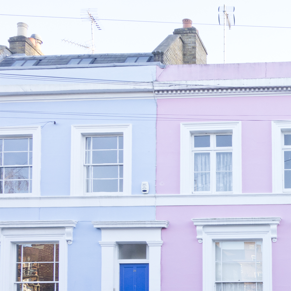 portobello11