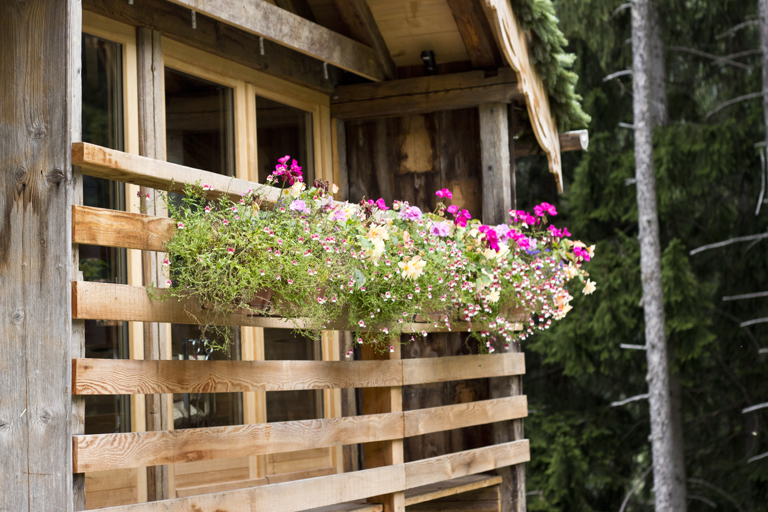Escale à Chamonix - les chalets de Philippe - www.paperboat.fr