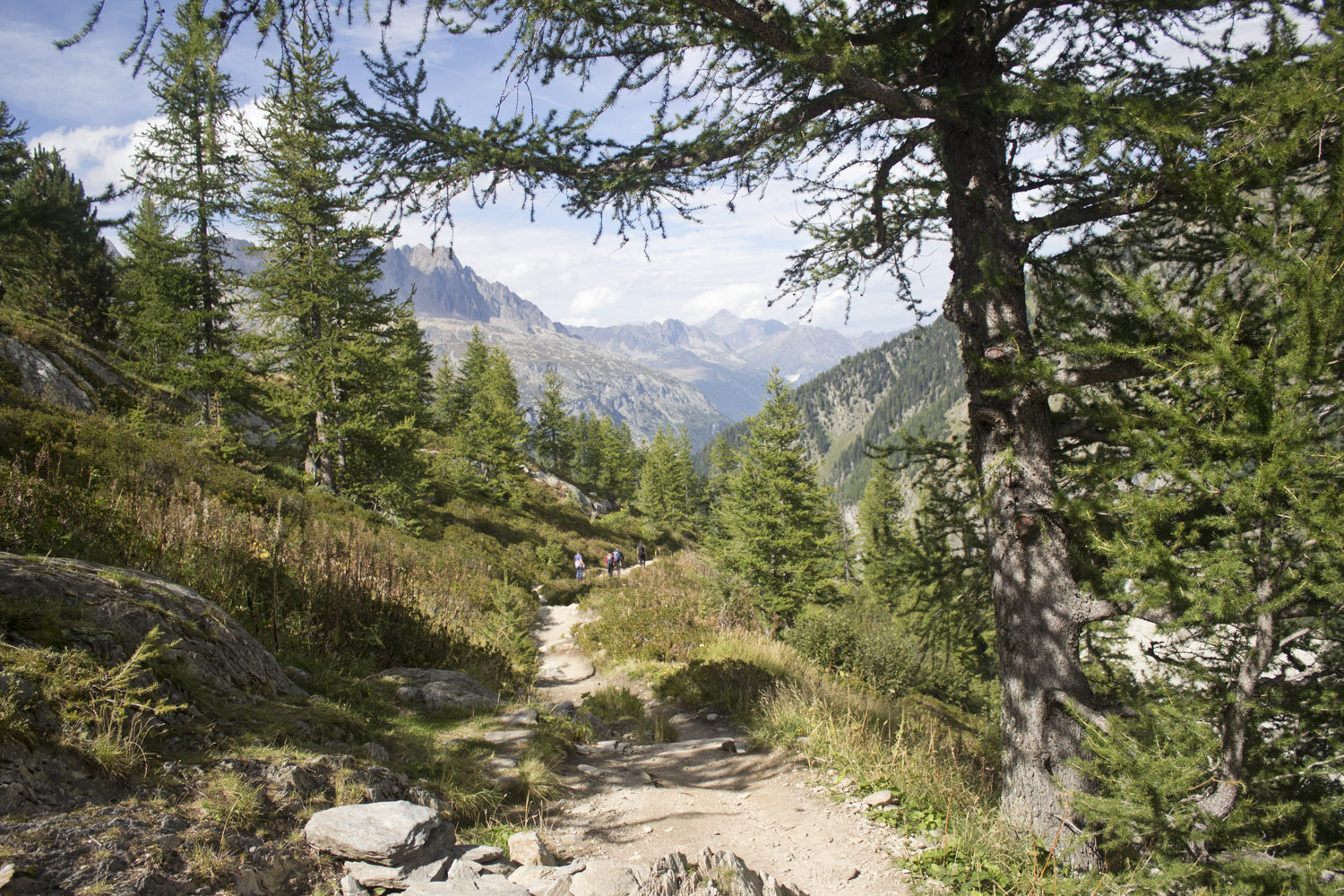 Escale à Chamonix - Plan de l'Aiguille Montenvers - www.paperboat.fr