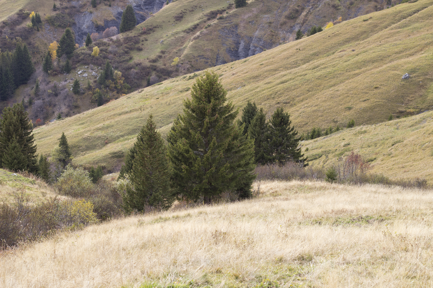 Col des Aravis - Alpes - www.paperboat.fr