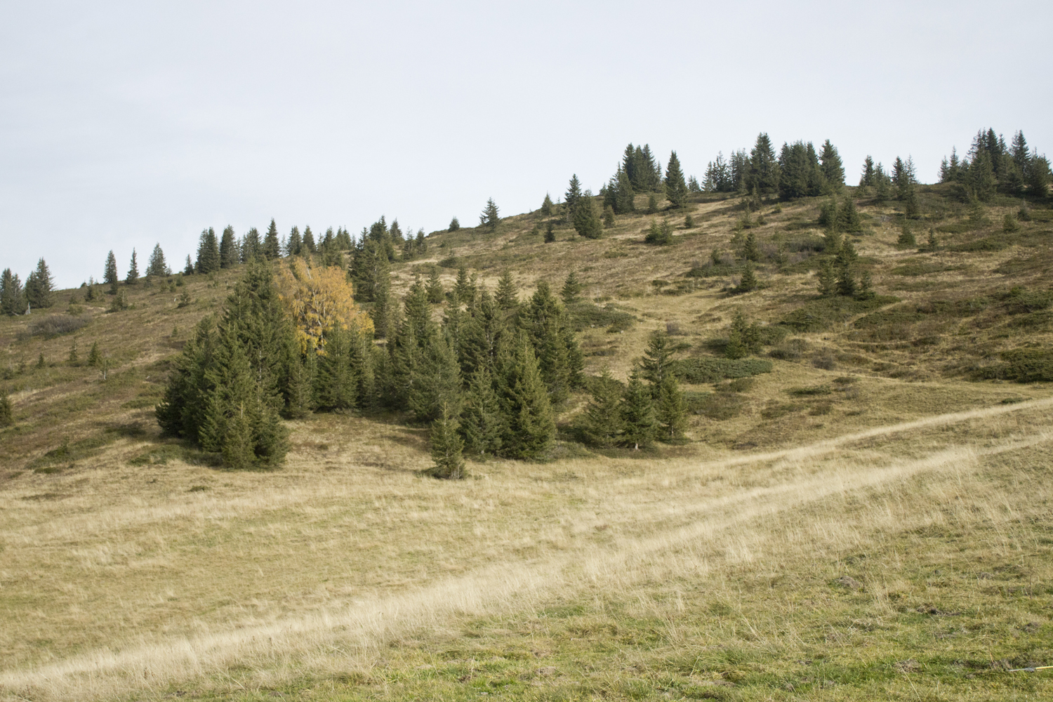 Col des Aravis - Alpes - www.paperboat.fr