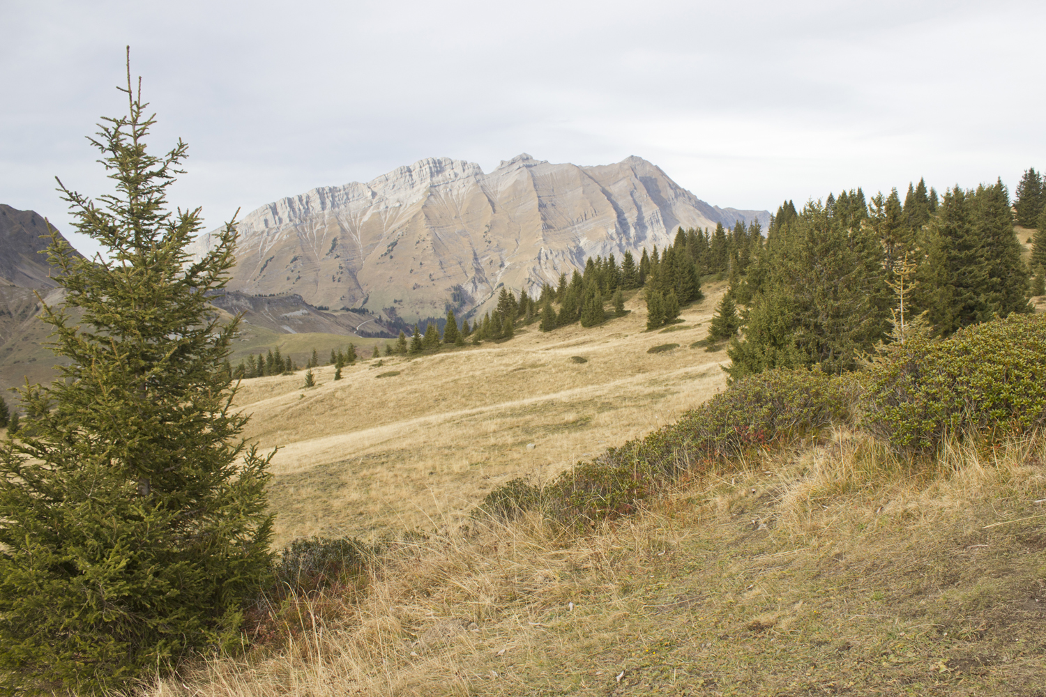 Col des Aravis - Alpes - www.paperboat.fr