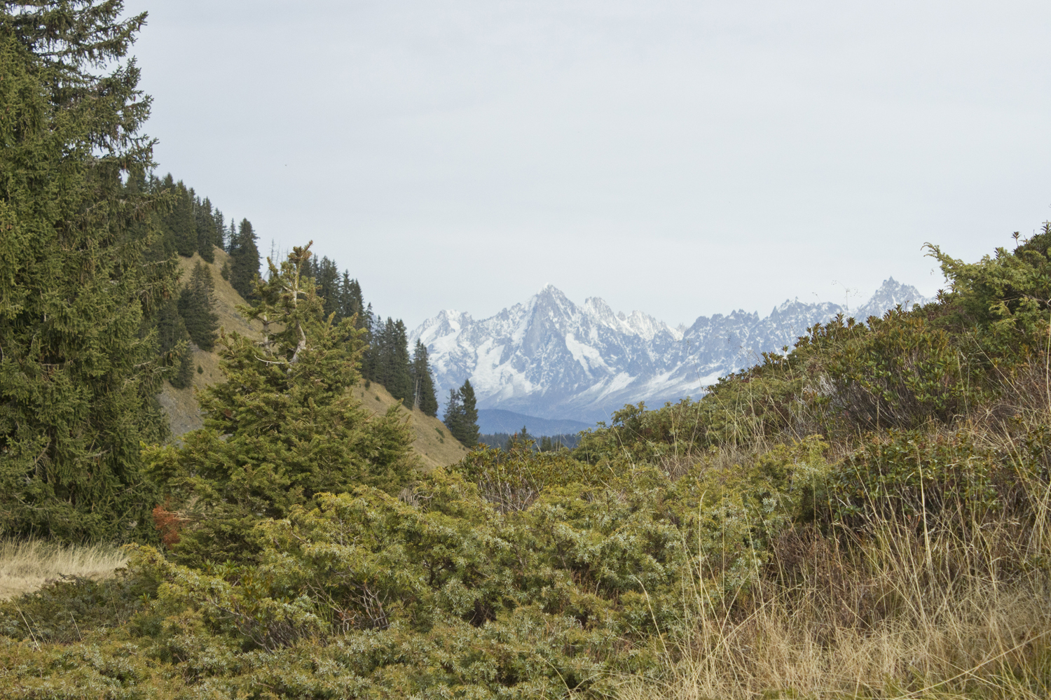 Col des Aravis - Alpes - www.paperboat.fr