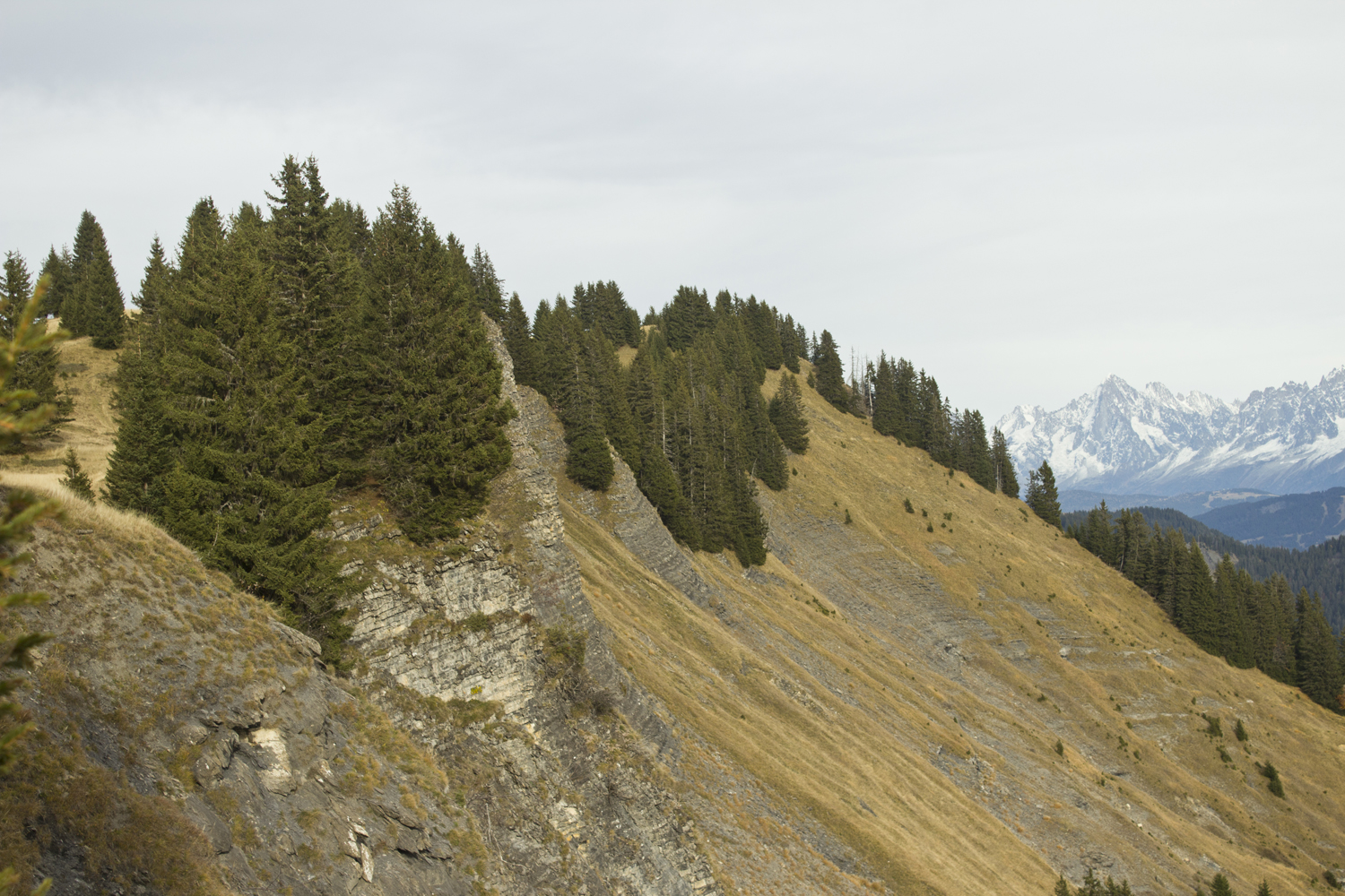 Col des Aravis - Alpes - www.paperboat.fr