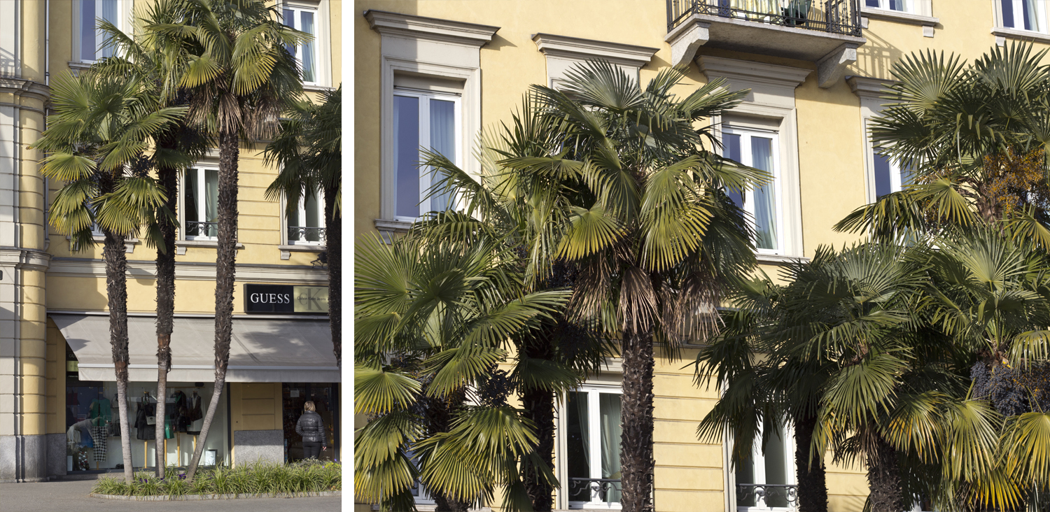 Lugano décembre 2015 - www.paperboat.fr