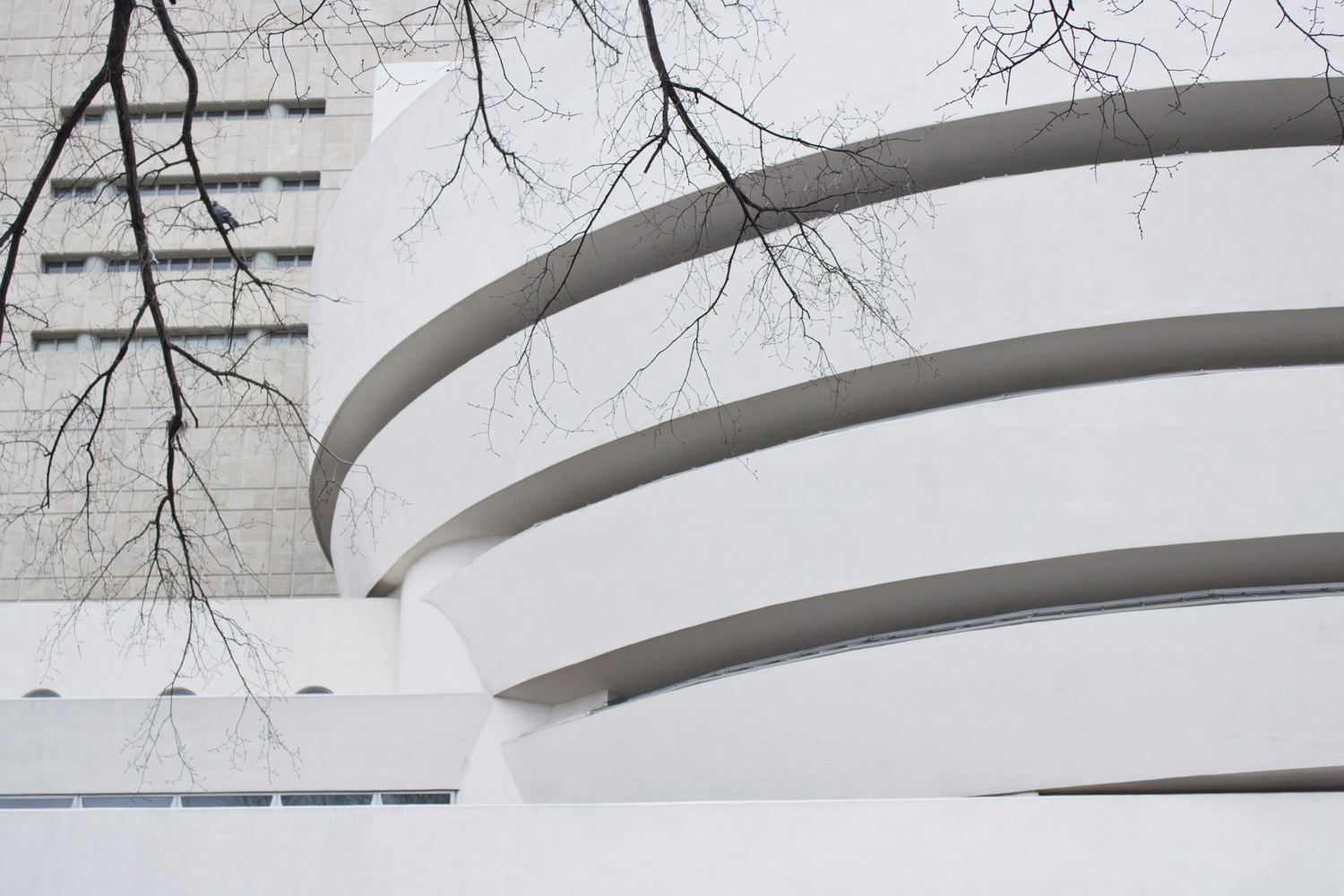 NY_dec2015_62