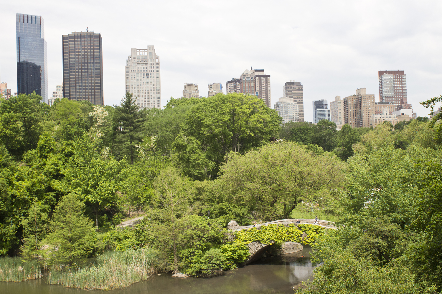 New York Mai 2014 - Central Park - www.paperboat.fr