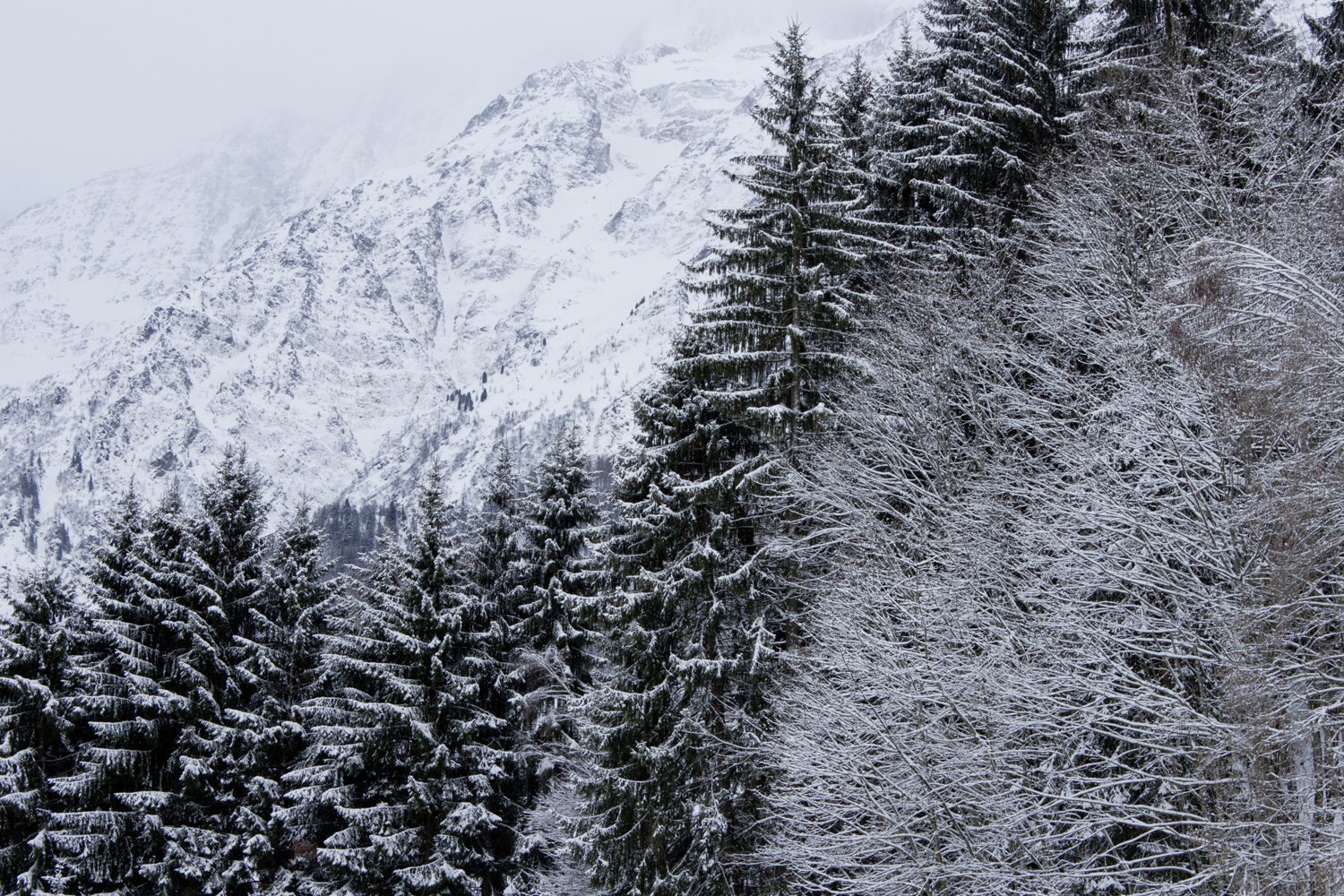 Les Houches Chamonix - www.paperboat.fr