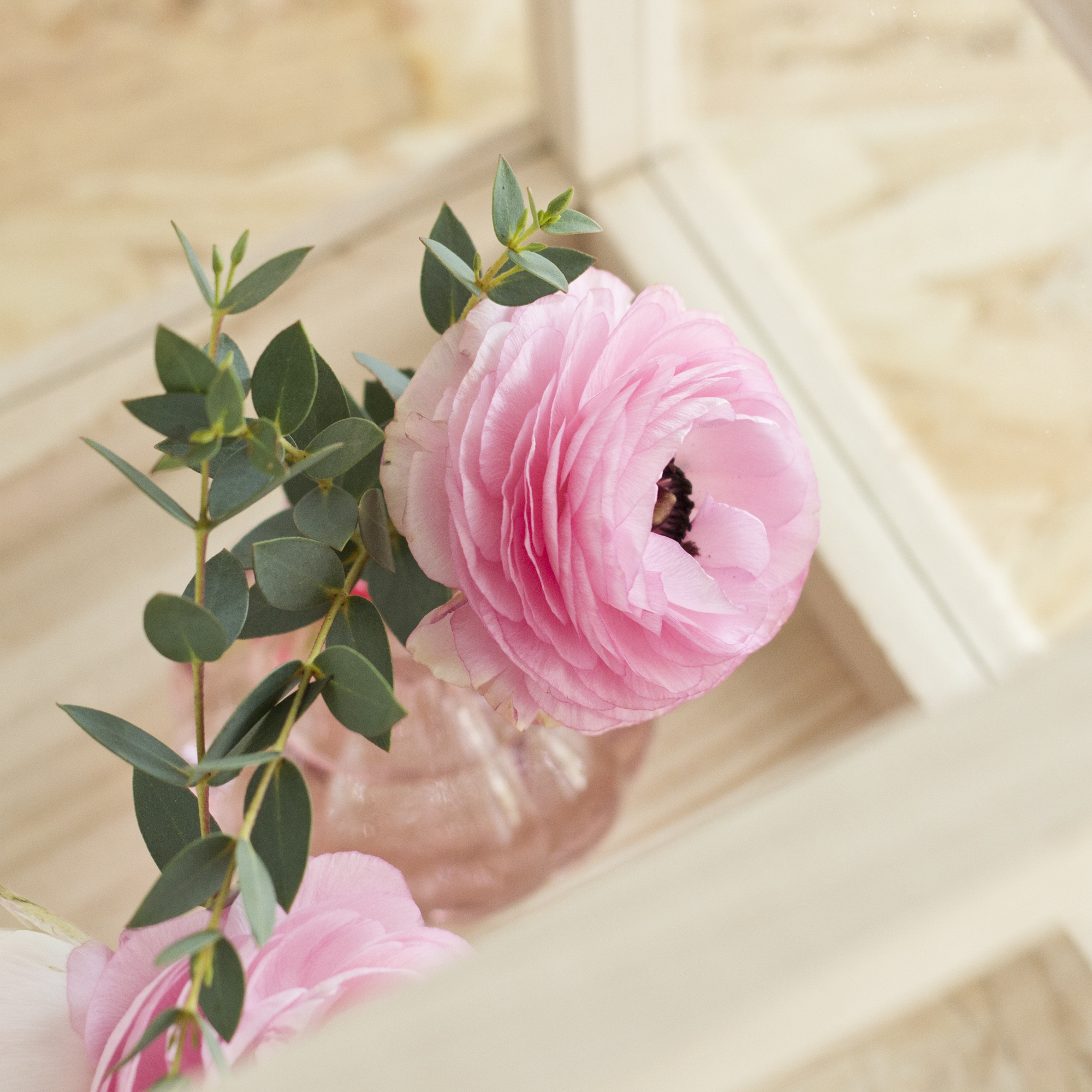 Bloom's - Livraison de fleurs pour le printemps - www.paperboat.fr