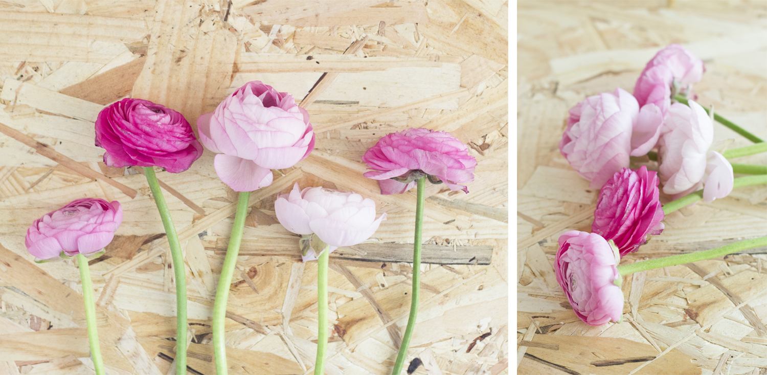 Bloom's - Livraison de fleurs pour le printemps - www.paperboat.fr