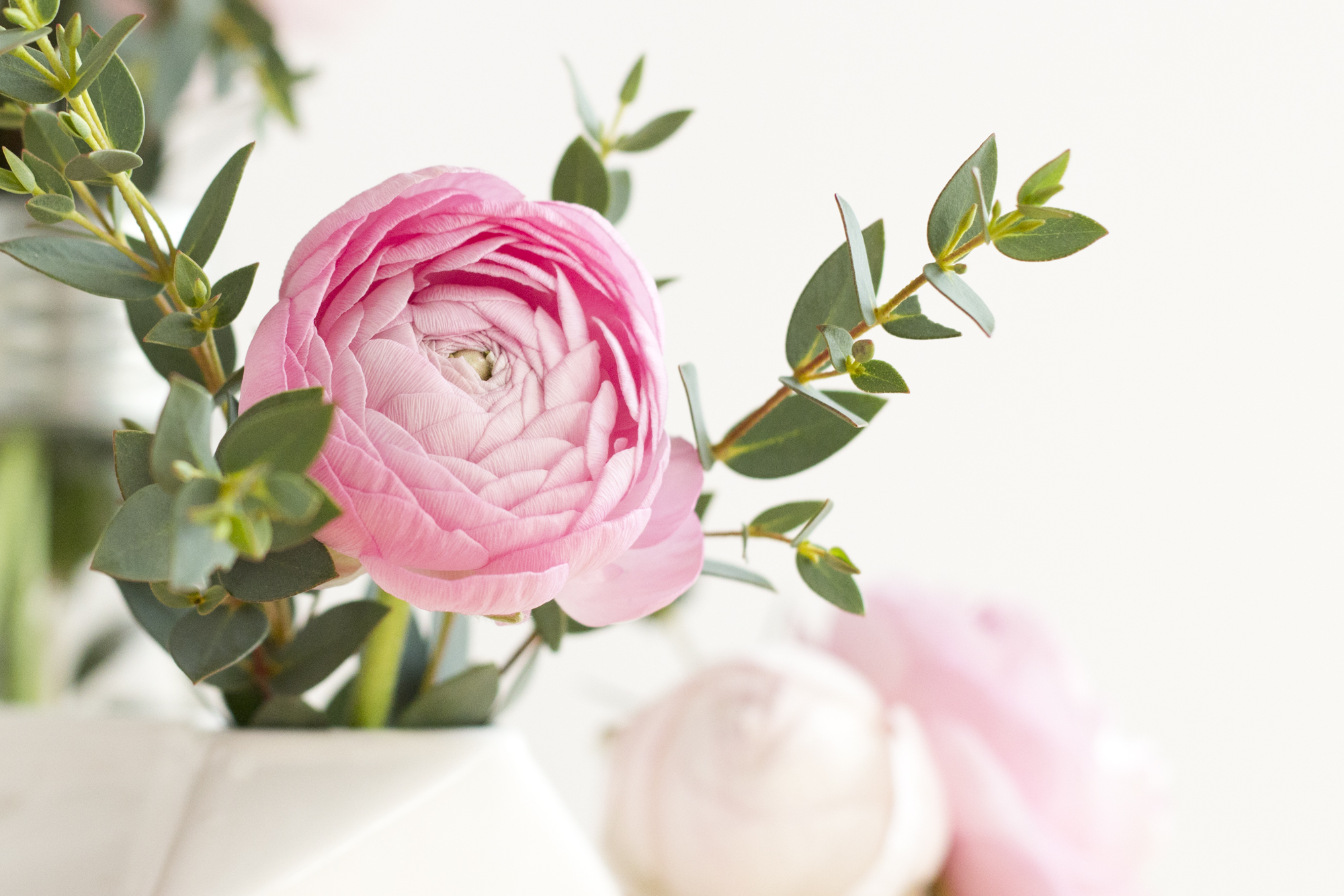 Bloom's - Livraison de fleurs pour le printemps - www.paperboat.fr