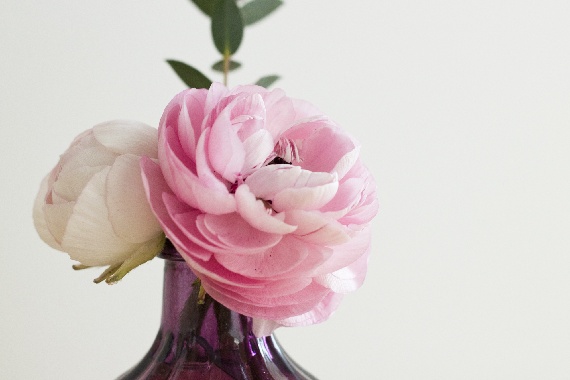 Bloom's - Livraison de fleurs pour le printemps - www.paperboat.fr