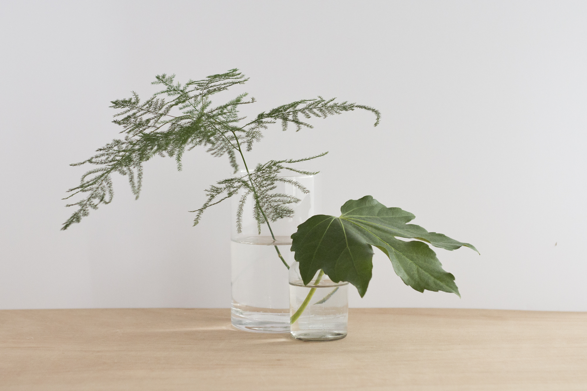 Mon jardin d'intérieur - www.paperboat.fr