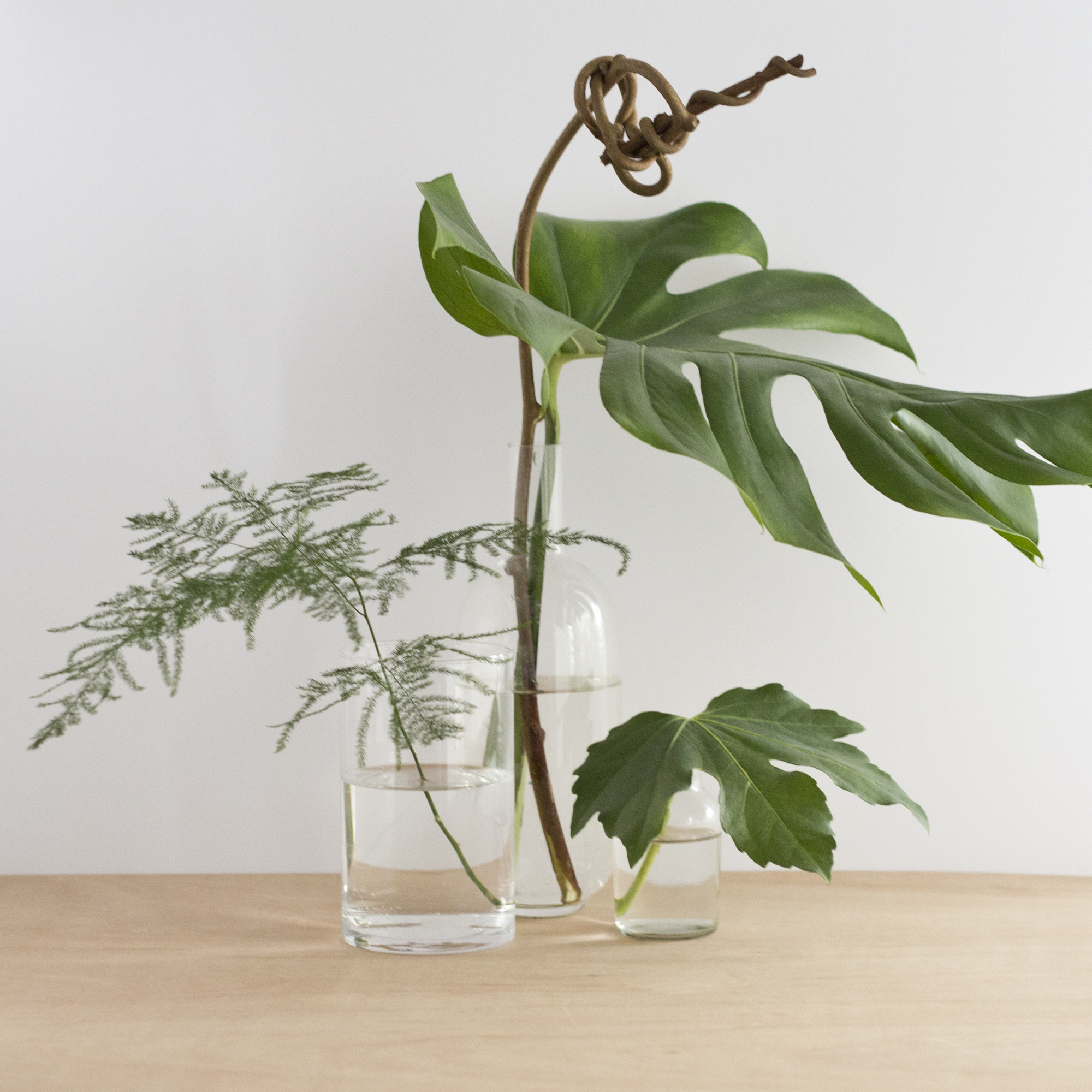 Mon jardin d'intérieur - www.paperboat.fr