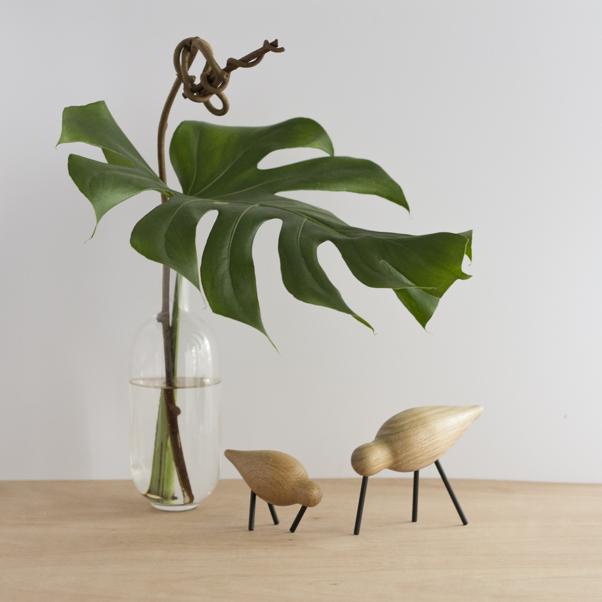 Bobart's - Normann Copenhagen - Mon jardin d'intérieur - www.paperboat.fr