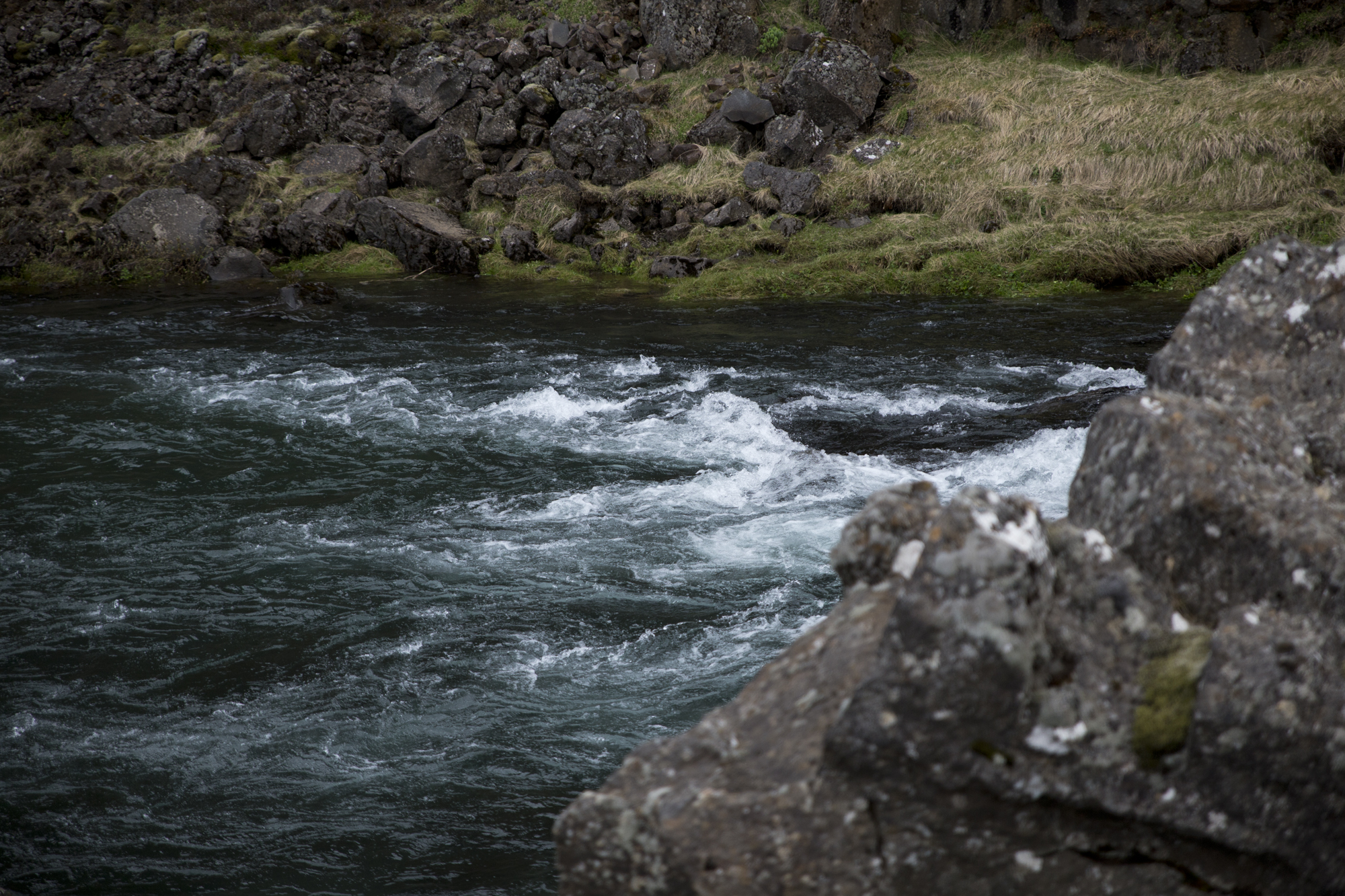 Road Trip Islande- Thingvellir - www.paperboat.fr