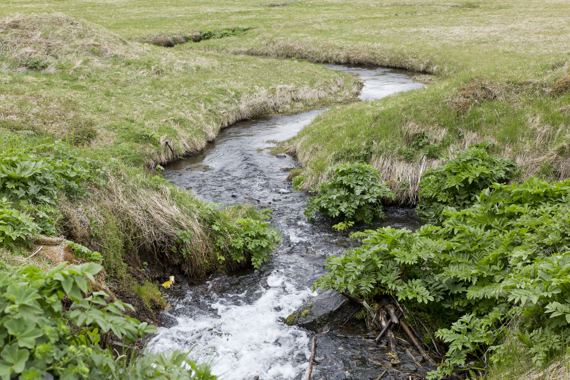 Road Trip Islande - Seljalandsfoss- www.paperboat.fr