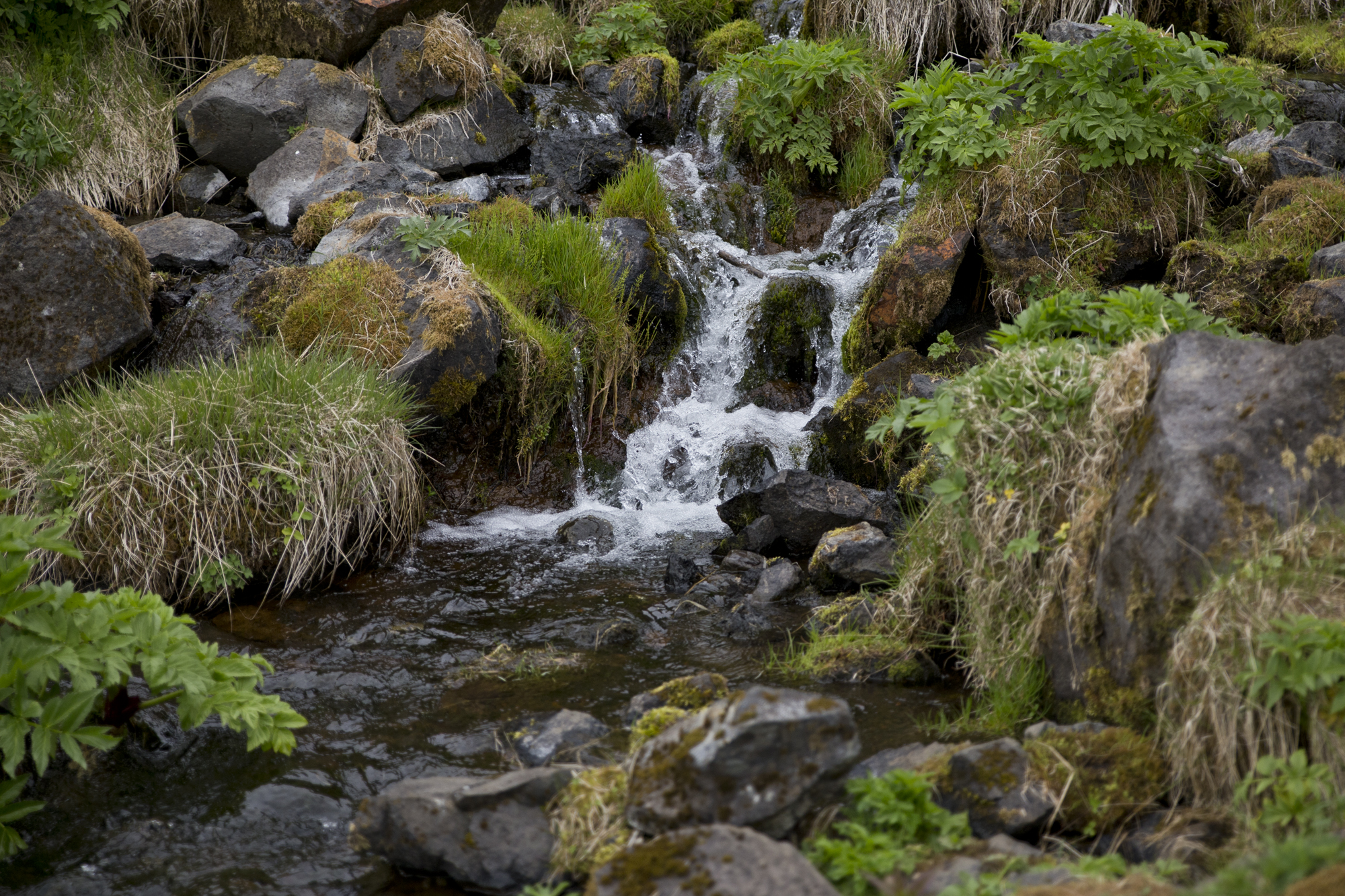 Road Trip Islande - Seljalandsfoss- www.paperboat.fr