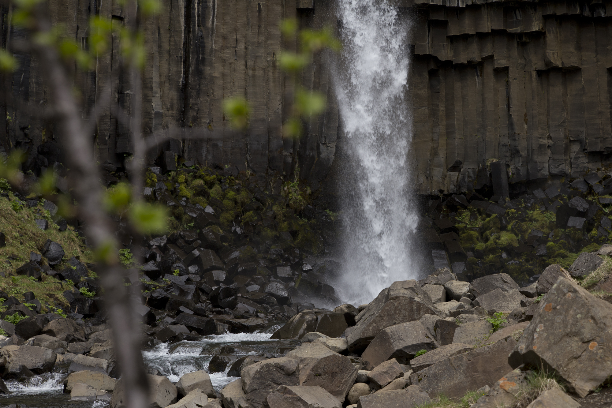 Road Trip Islande - Svartifoss - www.paperboat.fr