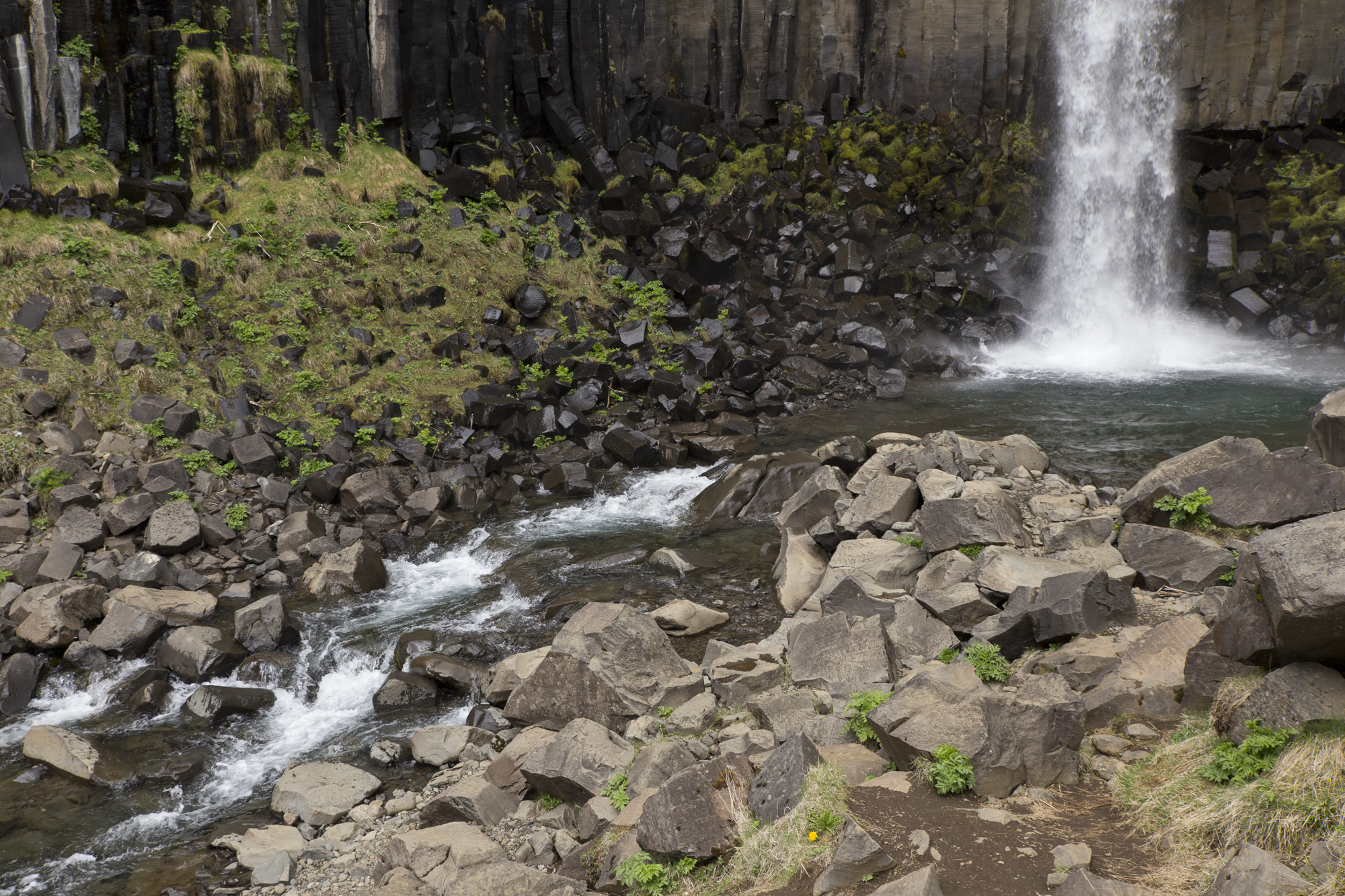 Road Trip Islande - Svartifoss - www.paperboat.fr