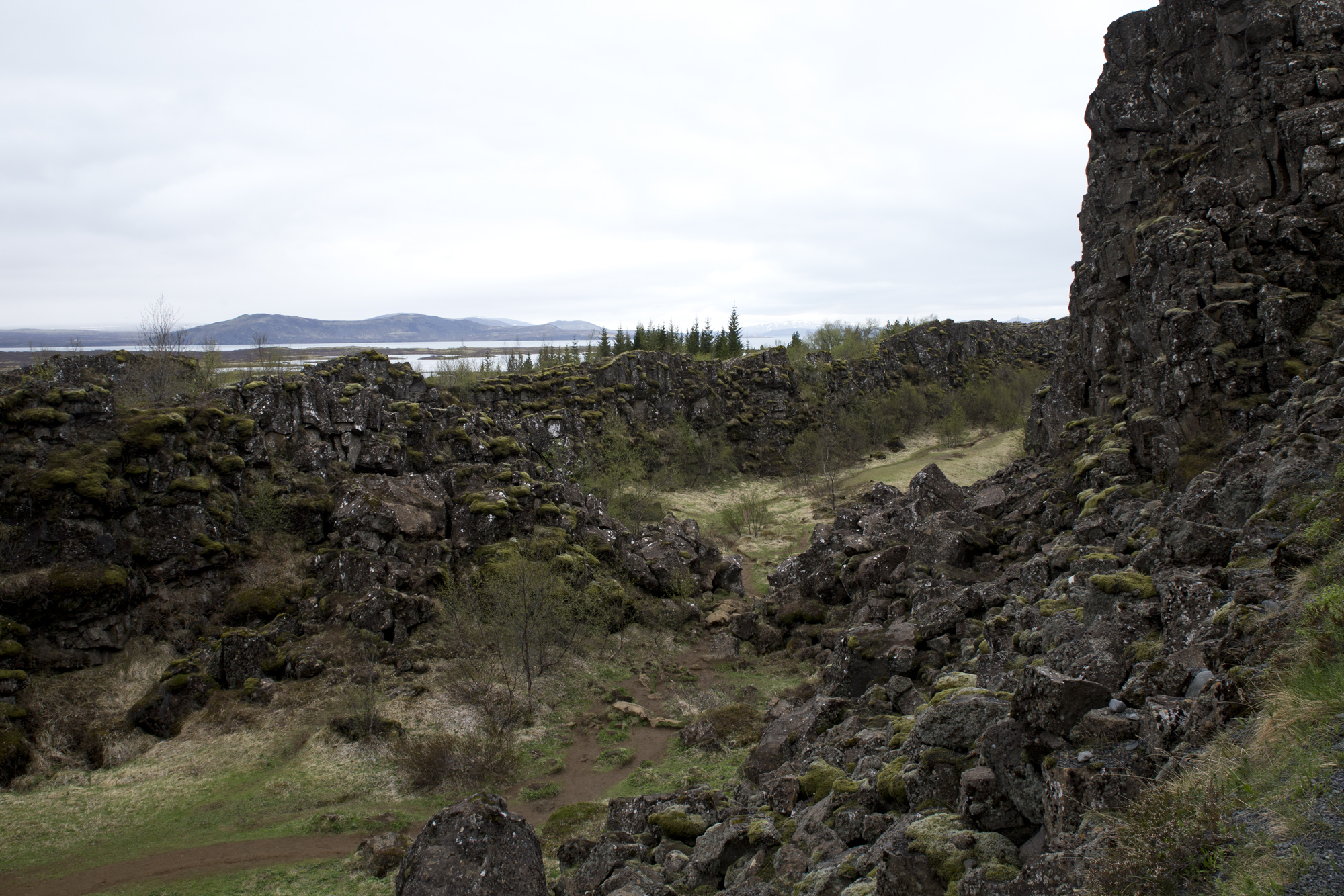 Road Trip Islande- Thingvellir - www.paperboat.fr