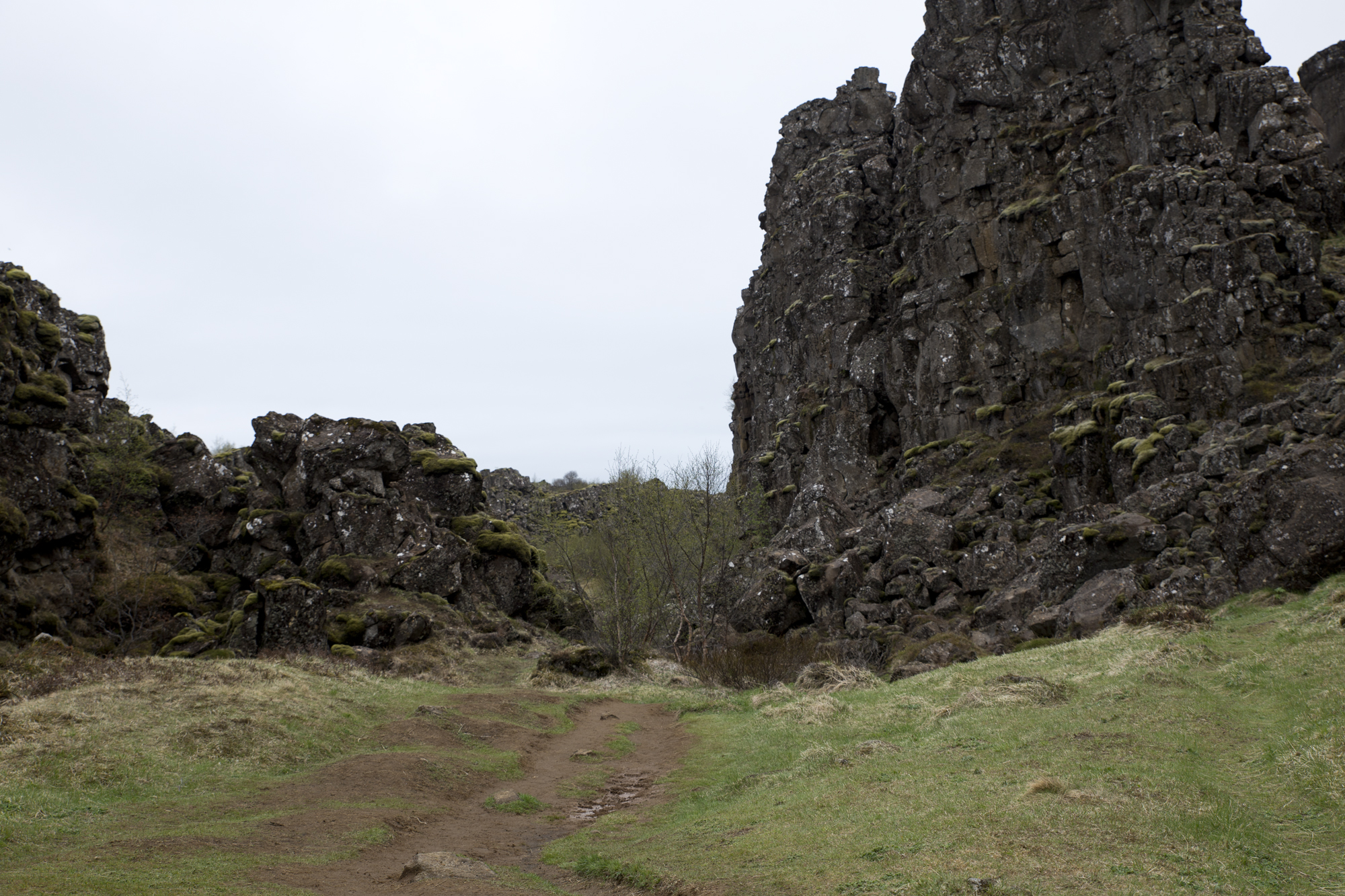 Road Trip Islande- Thingvellir - www.paperboat.fr