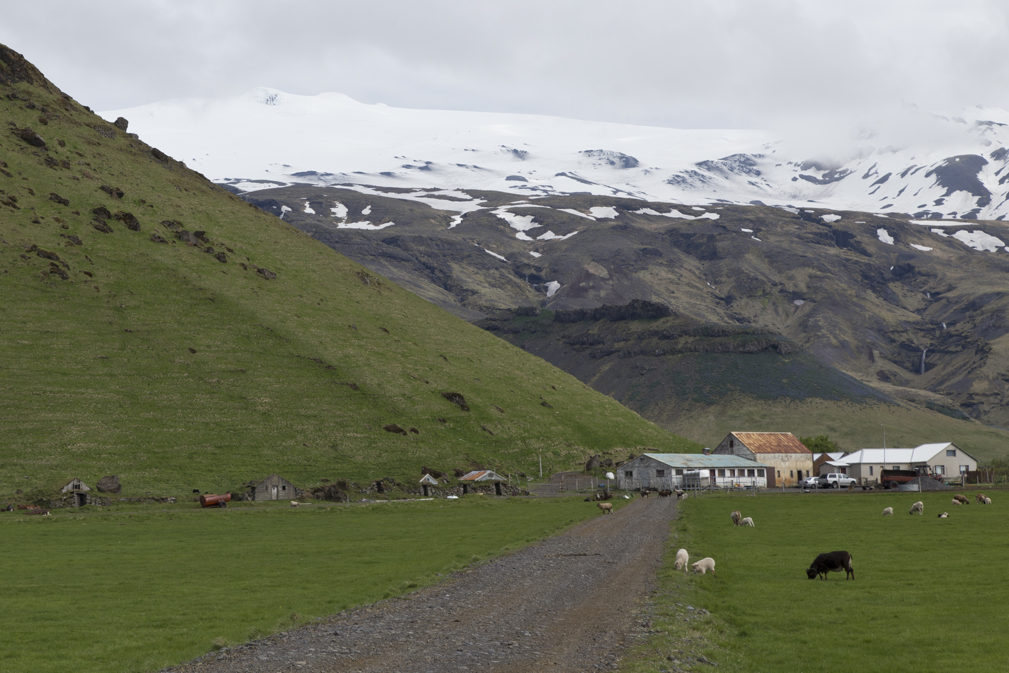 Road Trip Islande - Eyjafjallajökull - www.paperboat.fr