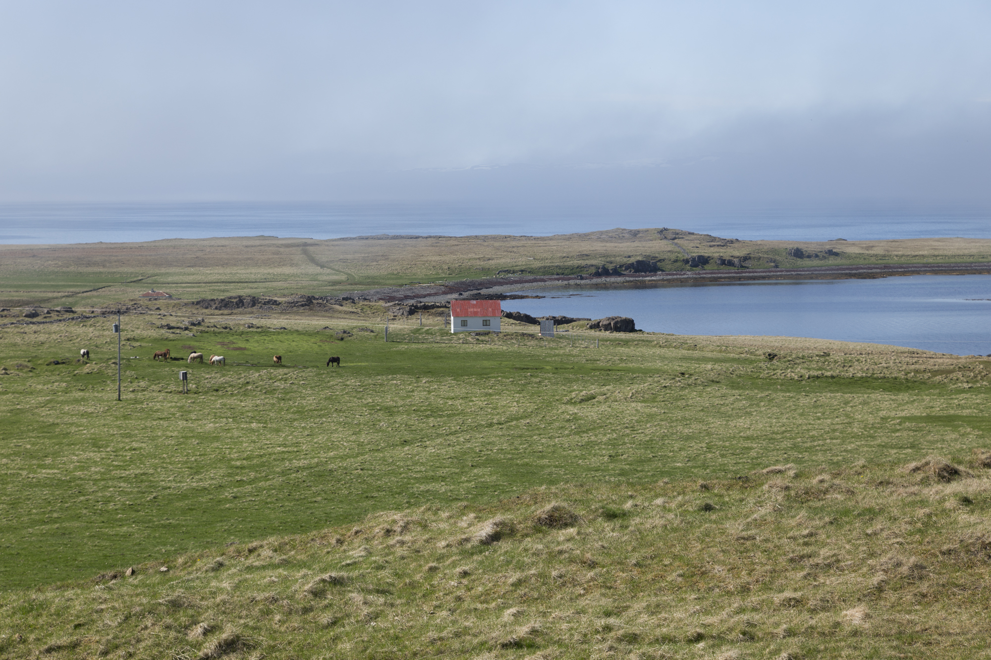 Road Trip Islande - Vatnsnes - www.paperboat.fr