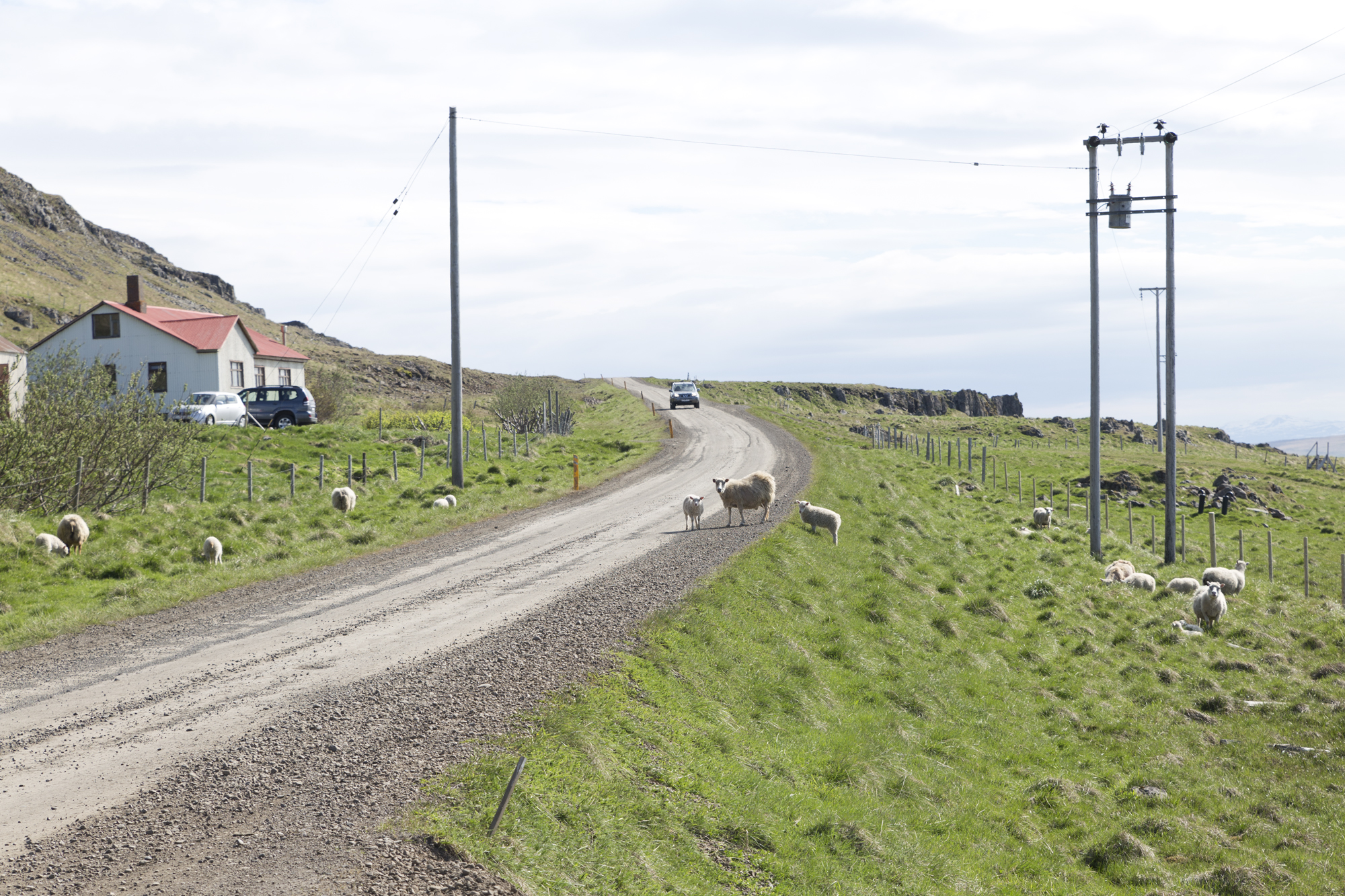 Road Trip Islande - Vatnsnes - www.paperboat.fr