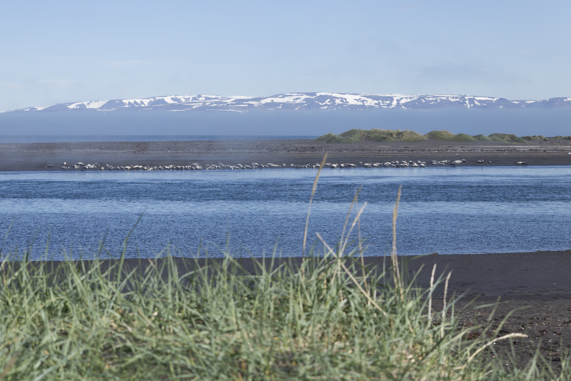 Road Trip Islande - Vatnsnes - www.paperboat.fr