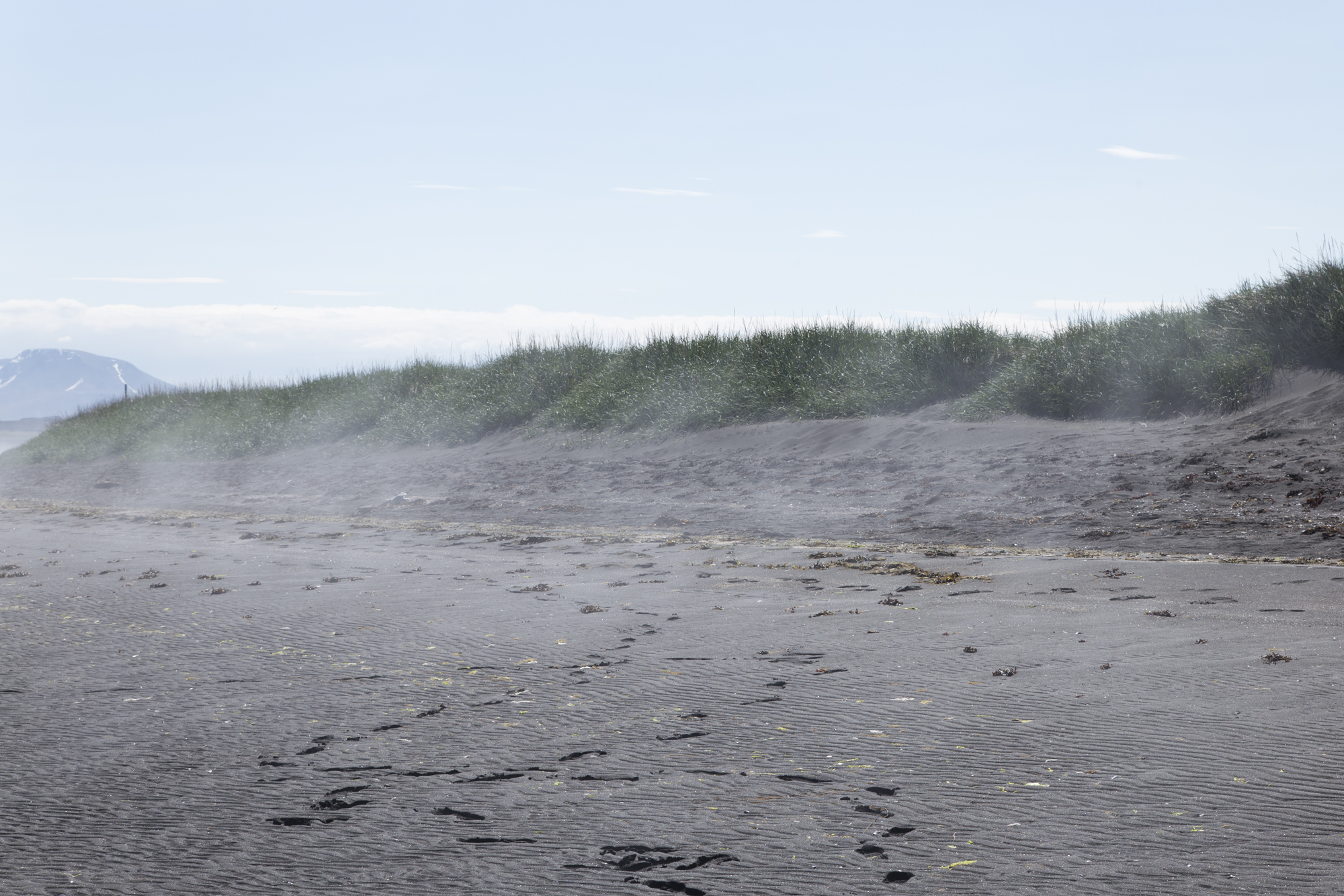 Road Trip Islande - Vatnsnes - www.paperboat.fr