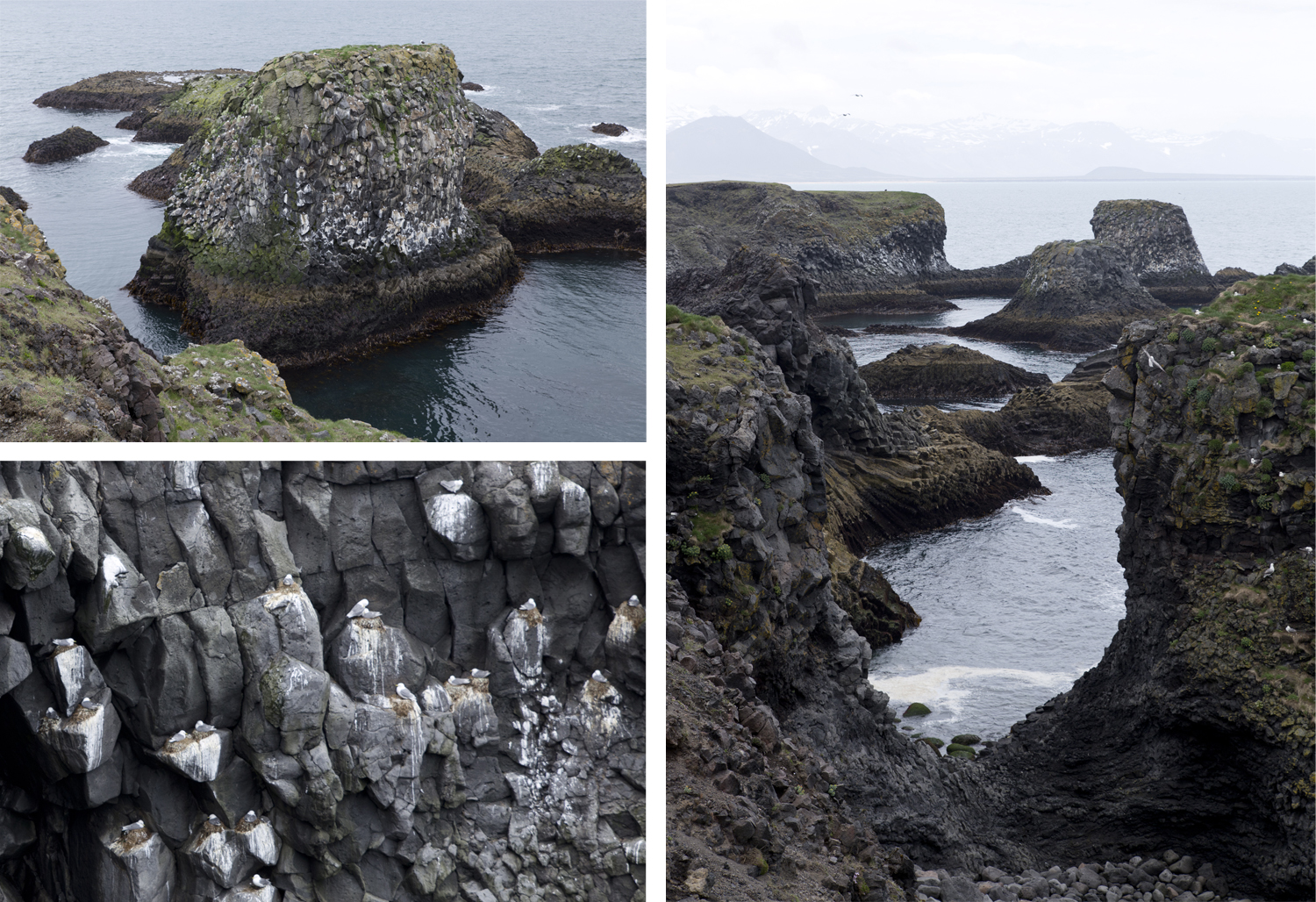 Road Trip Islande - arnarstapi - www.paperboat.fr