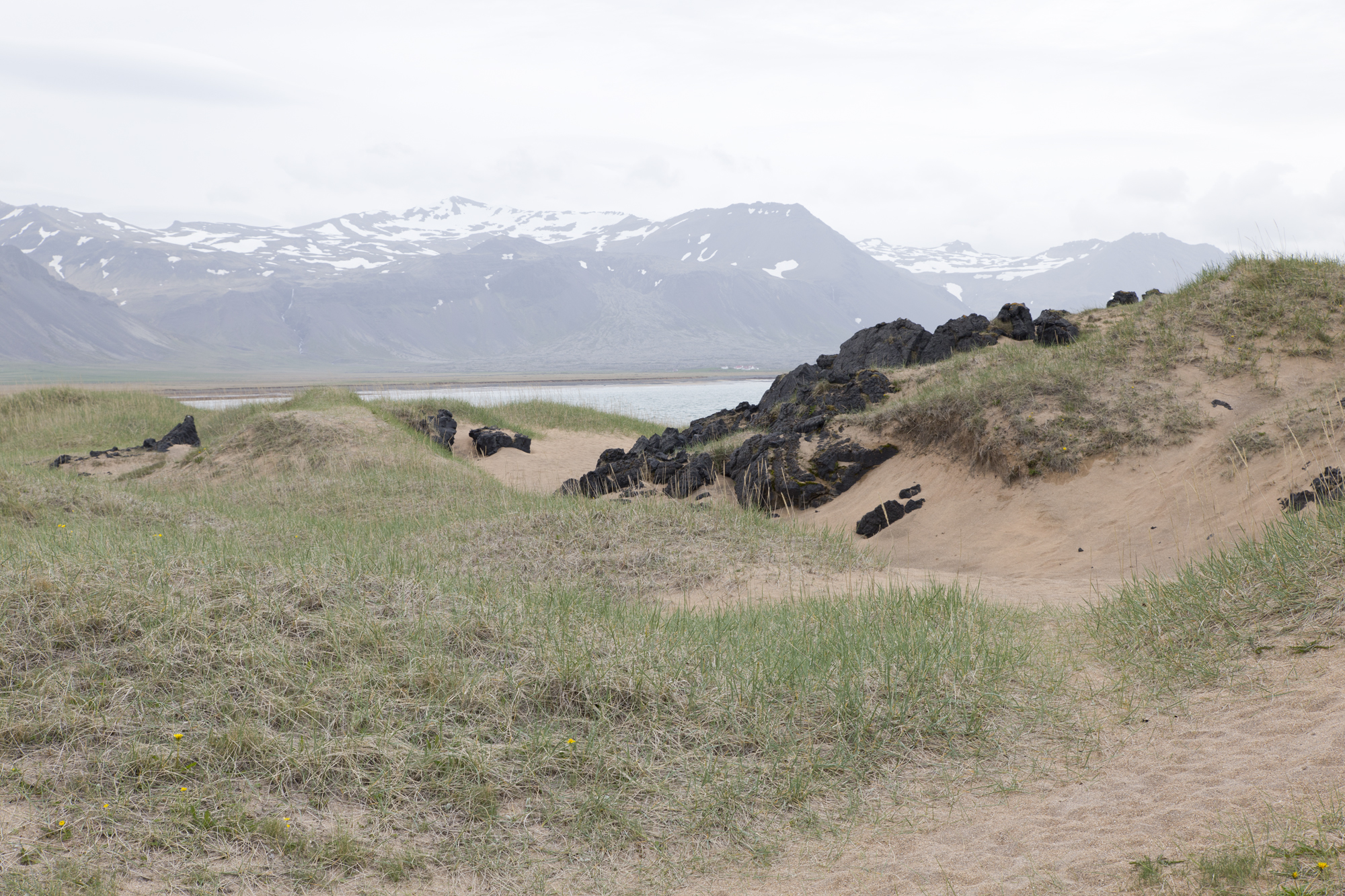 Road Trip Islande - budahraun - www.paperboat.fr